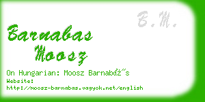 barnabas moosz business card